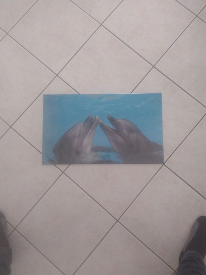 Sous main plastifié