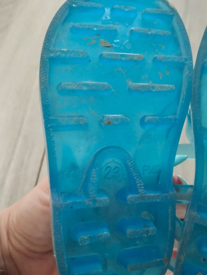 Méduse sandale mer - photo numéro 5