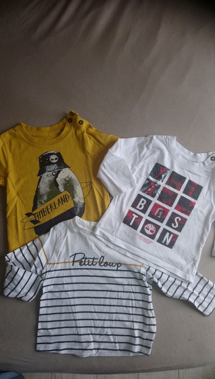 Lot de 3 tee-shirts 18mois