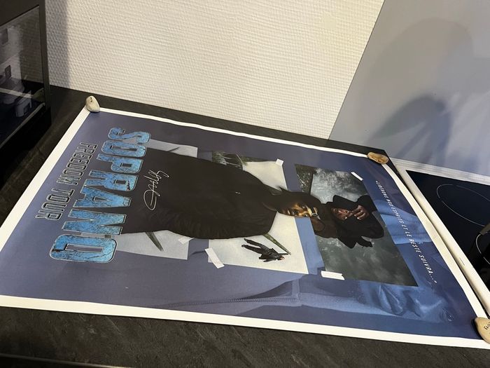 Poster soprano freedom tour - photo numéro 5