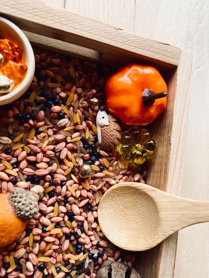 🍂Kit Montessori bac univers sensoriel – Thème Forêt automnale - photo numéro 6