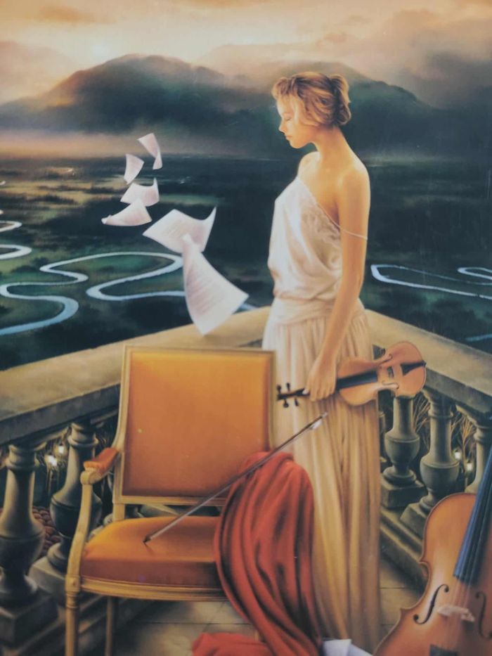 Puzzle 1000 pièces - photo numéro 3