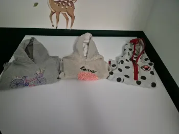 Lot de 3 sweats à capuche fille - 2/3 ans (92-98 cm) - Disney & Orchestra