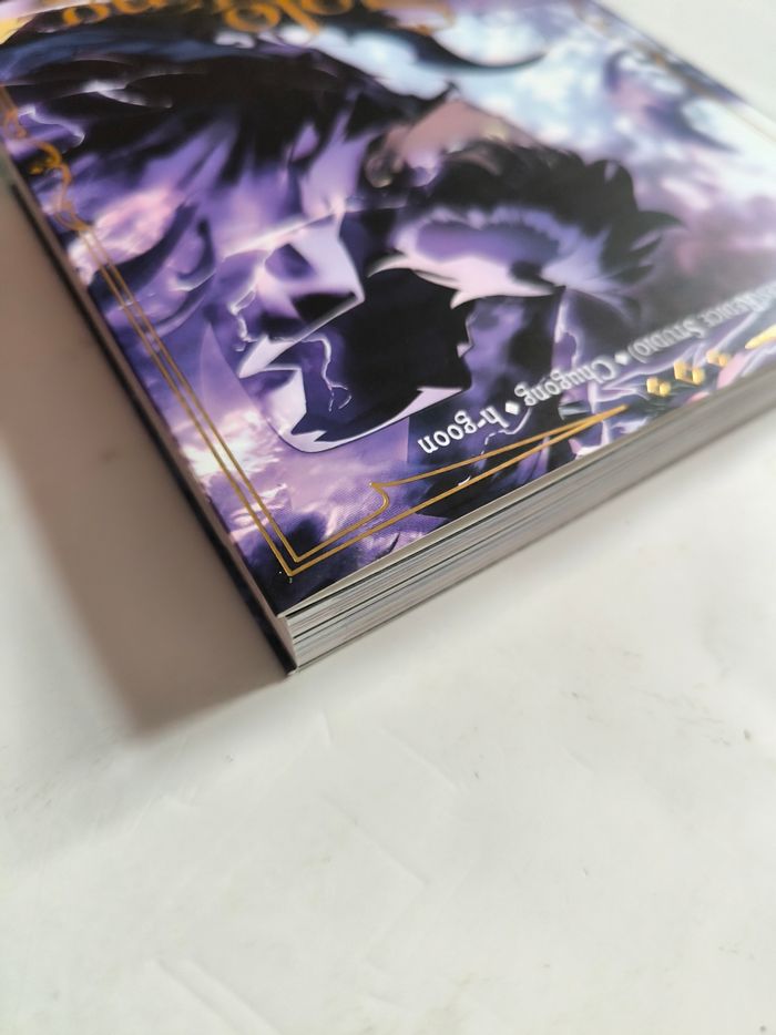 Solo leveling 17 - photo numéro 5