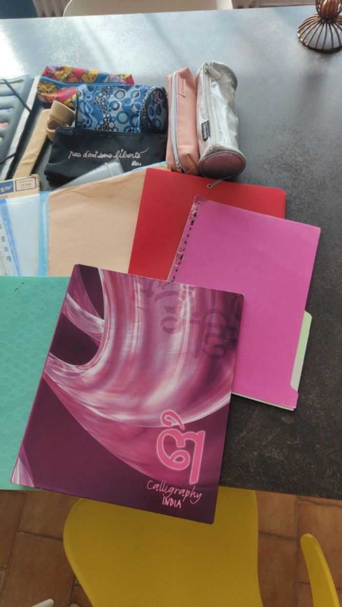 Lot fournitures scolaires
Classeurs, pochettes, canson, cahiers, trousses.. - photo numéro 2