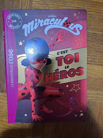 Livre Miraculos Lady Bug