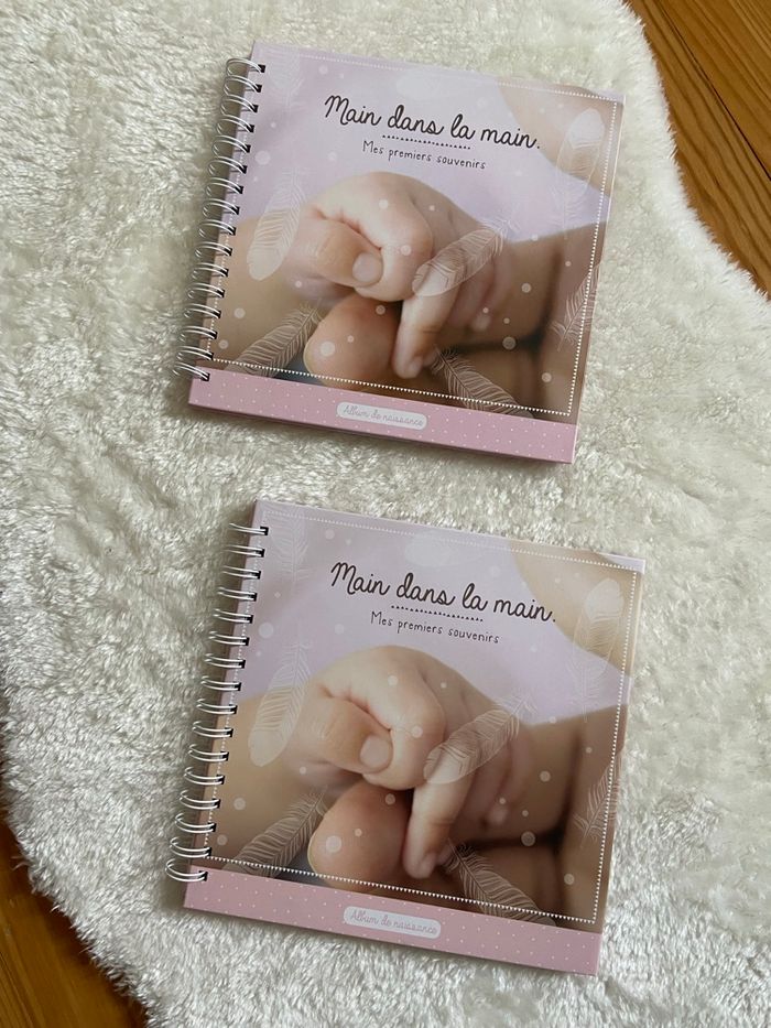 Lot de 2 albums photo