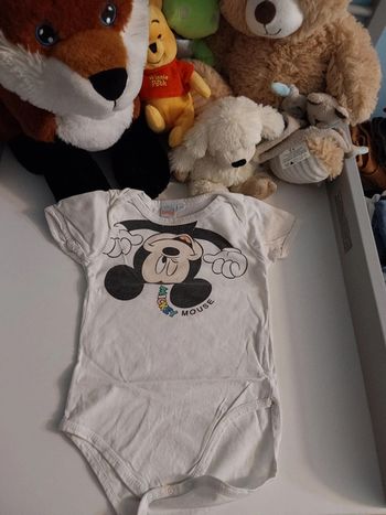Bidy Mickey