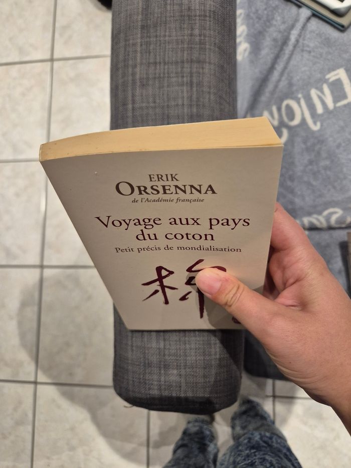 Livre "voyage au pays du coton" - photo numéro 4