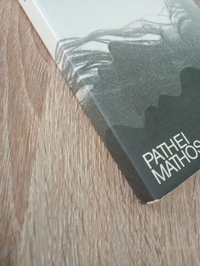 Alphonse De Waelhens 🪅 La psychose - photo numéro 4