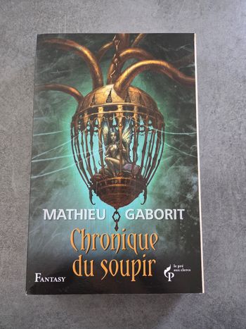 Chronique du soupir, Mathieu Gaborit