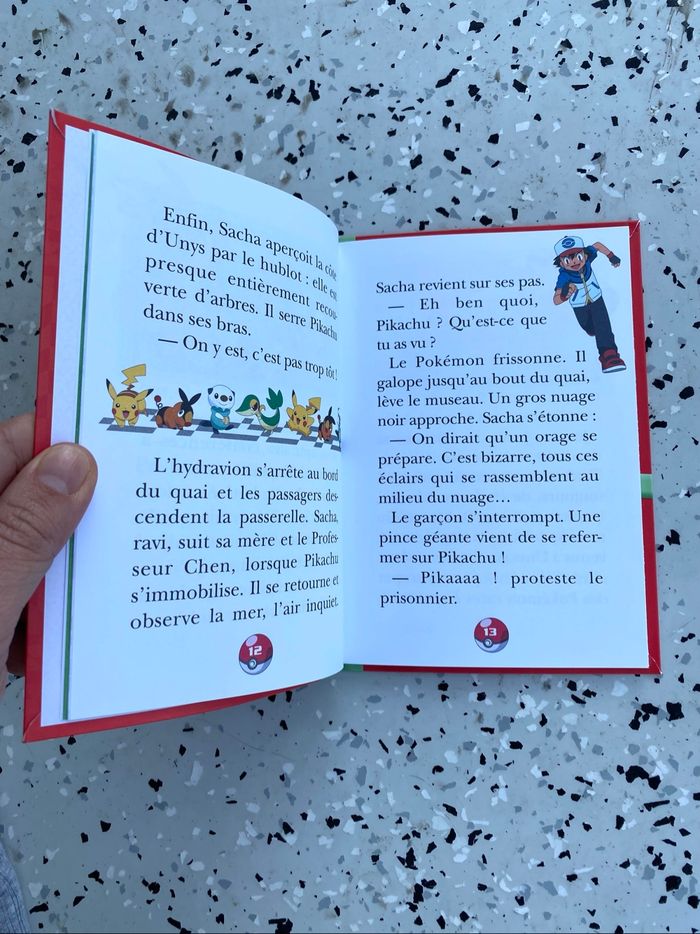 Livre : Pokemon - photo numéro 2