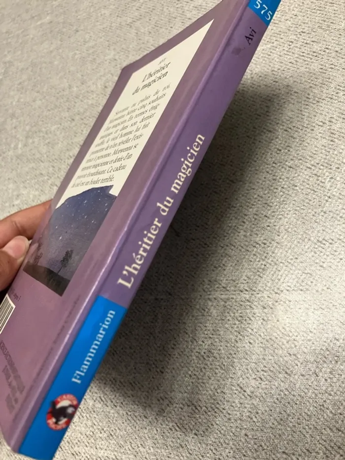 L’Héritier du magicien - AVI - photo numéro 4