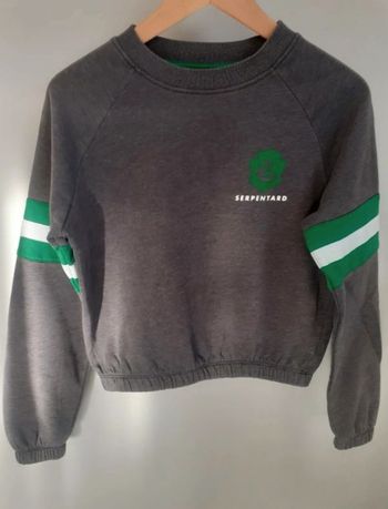 Pull harry potter /maison serpentard