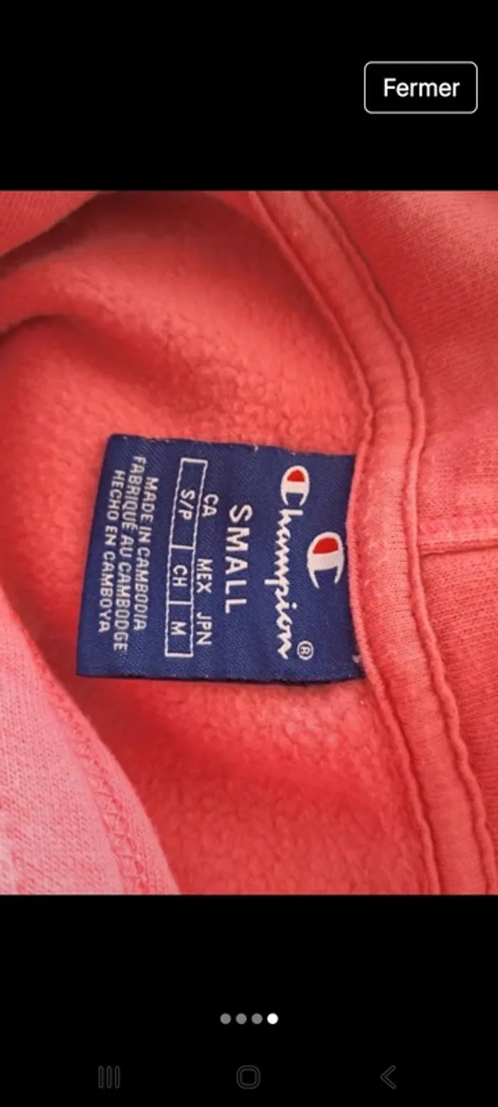 Sweat capuche Champion S - photo numéro 4