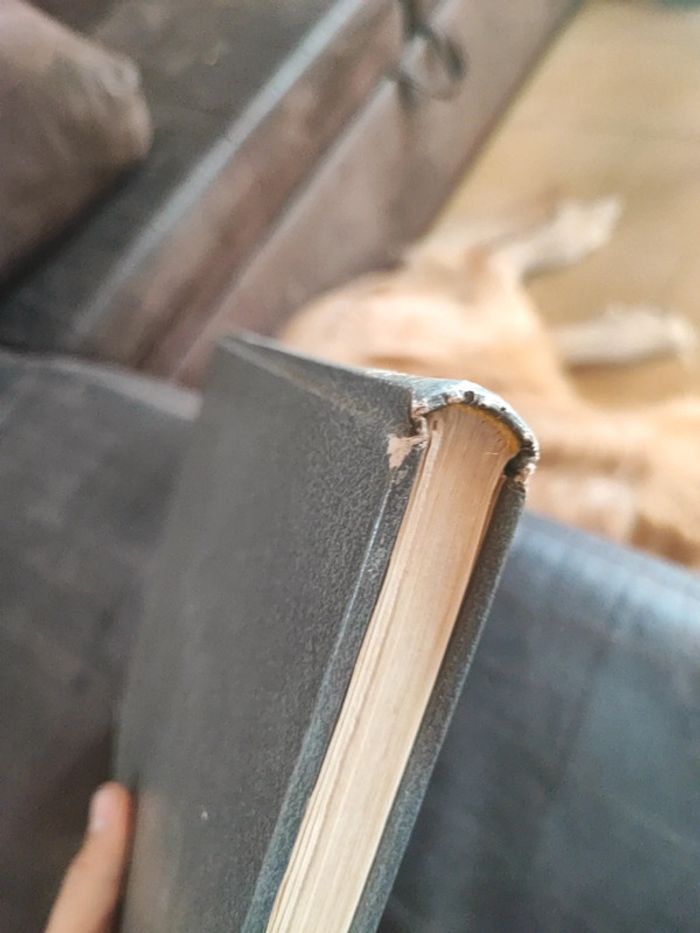 Astérix et Obélix hachette - photo numéro 4