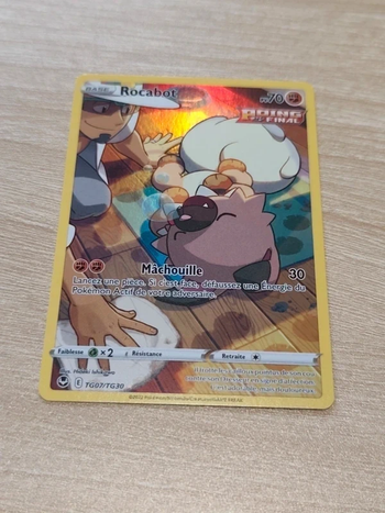 Carte pokémon - Rocabot TG07/TG30