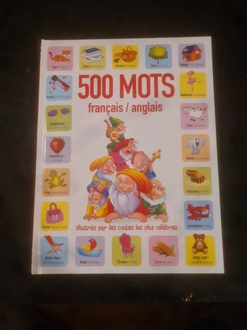 500 mots français anglais