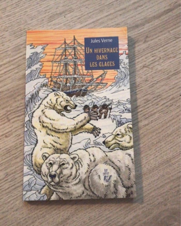 Livre Jules Verne Un hivernage dans les glaces