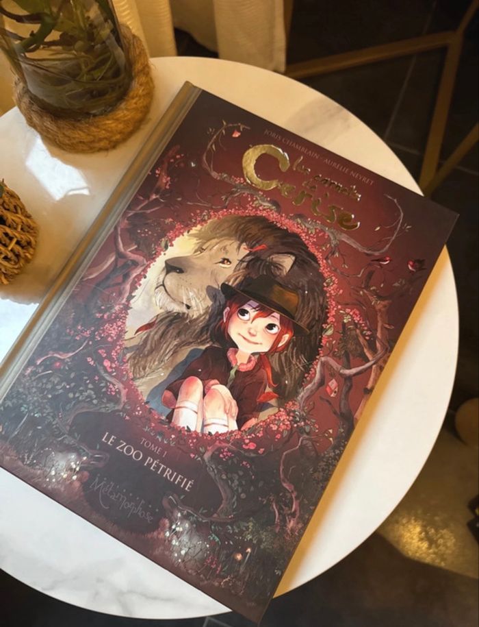 BD Les Carnets De Cerise - Le Zoo pétrifié Tome 01 - photo numéro 4