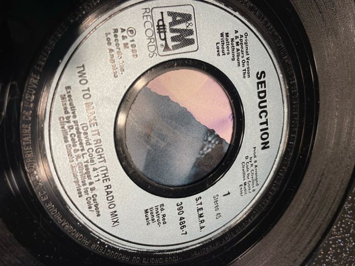 Séduction - photo numéro 5