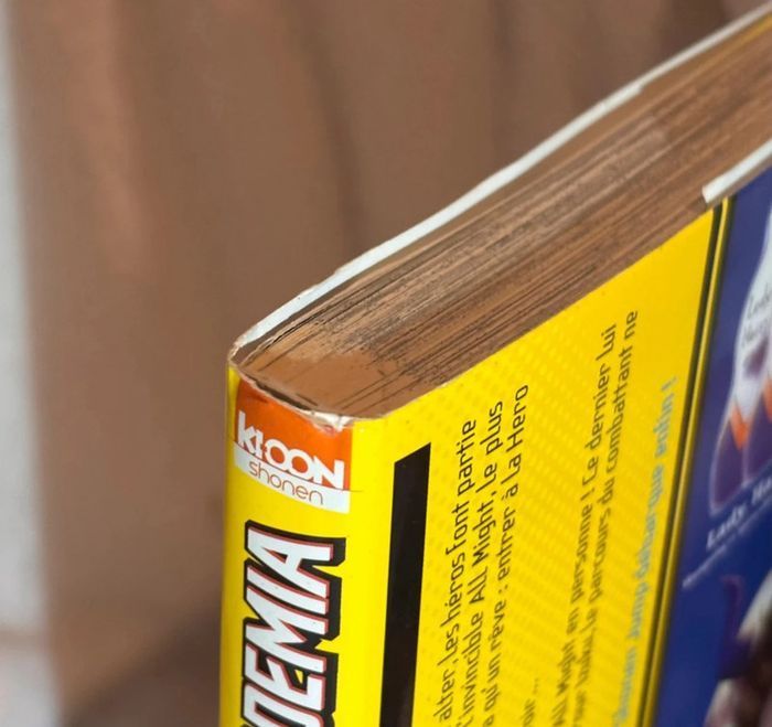 My Hero Academia Tome 1 (Manga) - photo numéro 3