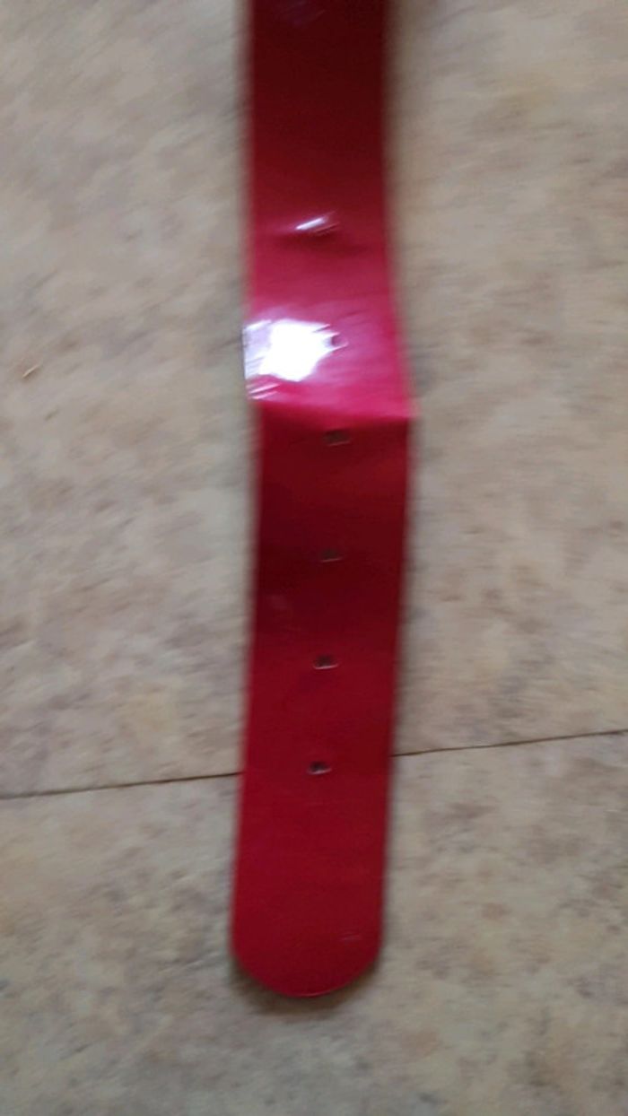 Ceinture - photo numéro 2