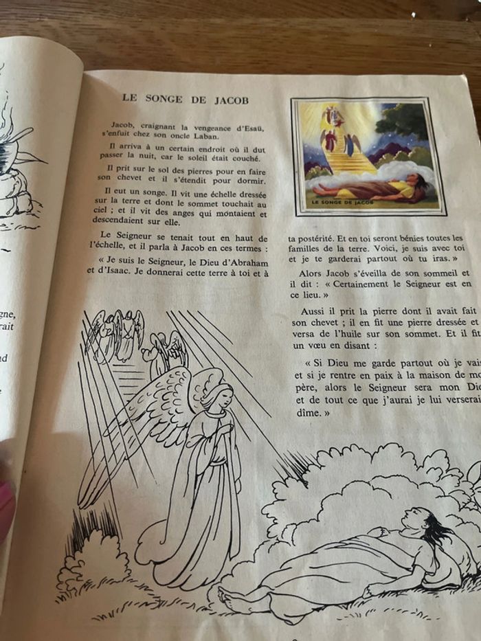 L’encyclopédie par le timbre 1954 - photo numéro 5