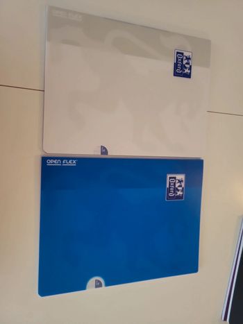 2 cahiers oxford open flex 24x32