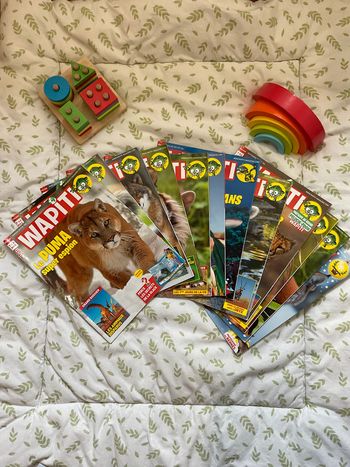 12 magazines wapiti année 2017 + 1 hors série