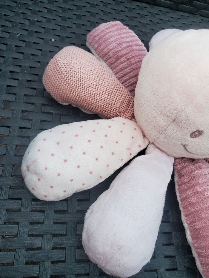 Pieuvre d'activitės - photo numéro 2