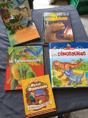 Lot livres dinosaures