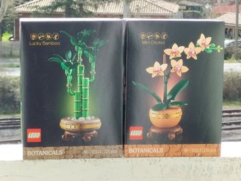 Spécial St Valentin Lego bambou et orchidée miniature 