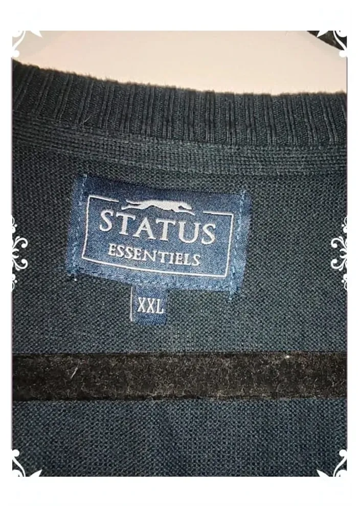 Pull status - photo numéro 4