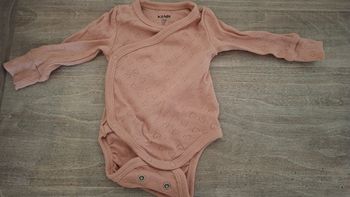 Boddy 1 mois