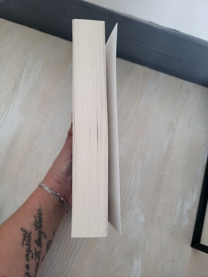 Roman le manuscrit des Damnés - photo numéro 3