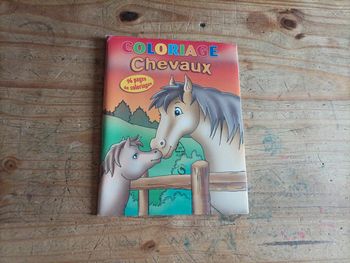 Coloriage chevaux 96 p