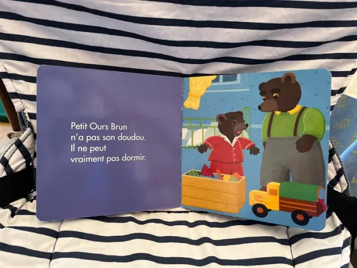 Petit Ours Brun a perdu son doudou - photo numéro 3