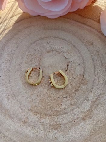 Boucles d'oreilles en acier inoxydable 