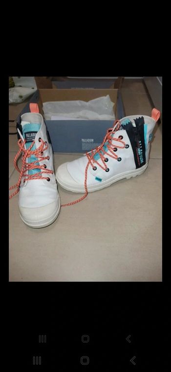Palladium pampa p 34