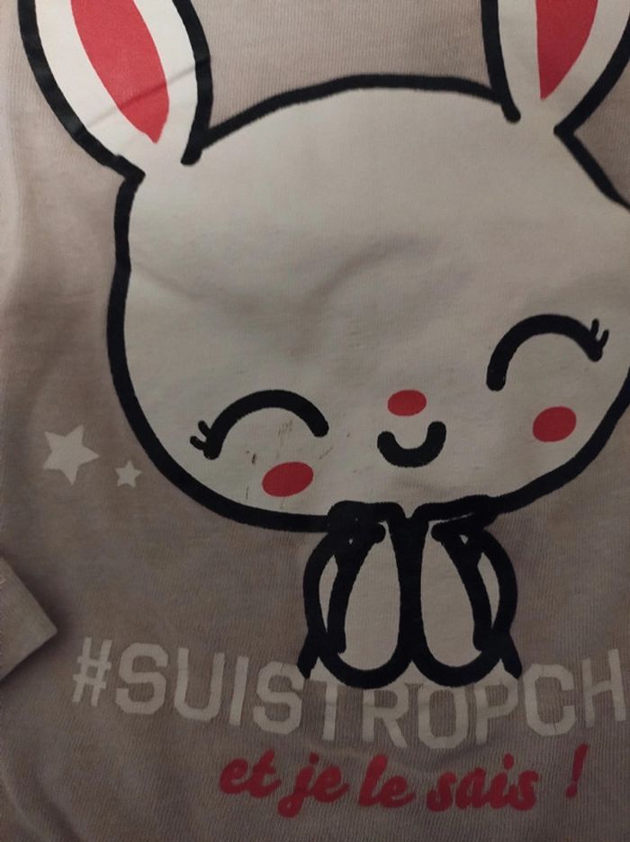 Tee-shirt lapin - photo numéro 2