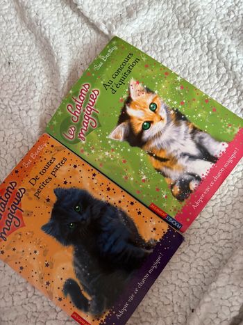 Livre les chatons magiques