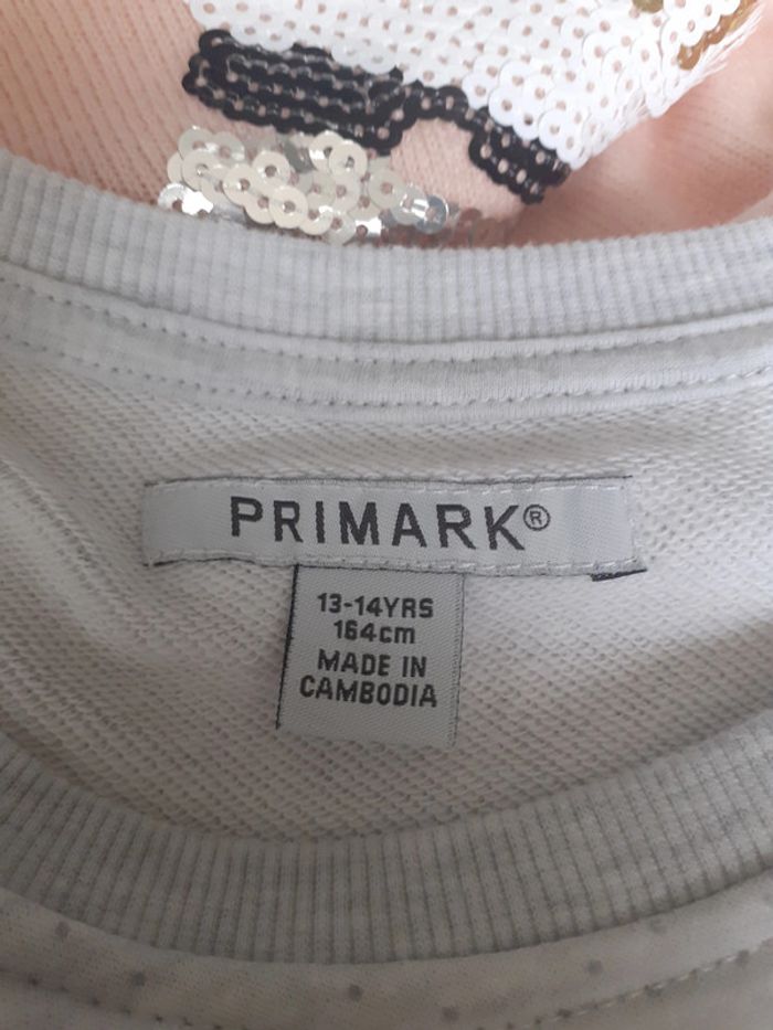 Sweat gris clair de la marque primark jamais porté - photo numéro 5