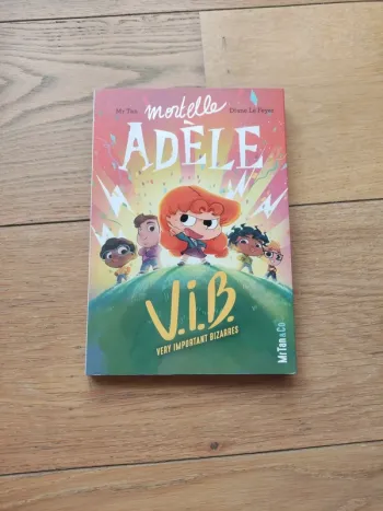livre mortelle adèle V.I.B