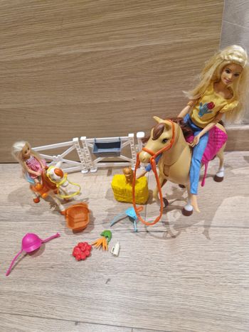 Coffret Barbie et chelsey et leurs animaux