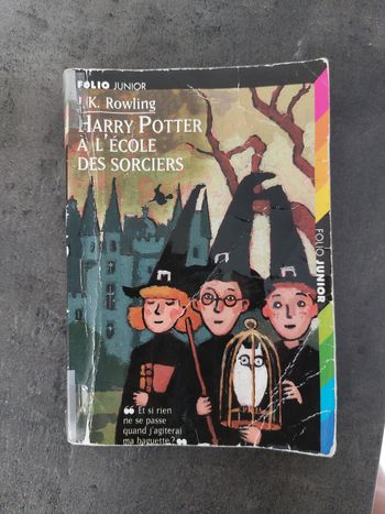 Livre harry Potter à l'école des sorciers première édition française avec citations illustré emily walcker 