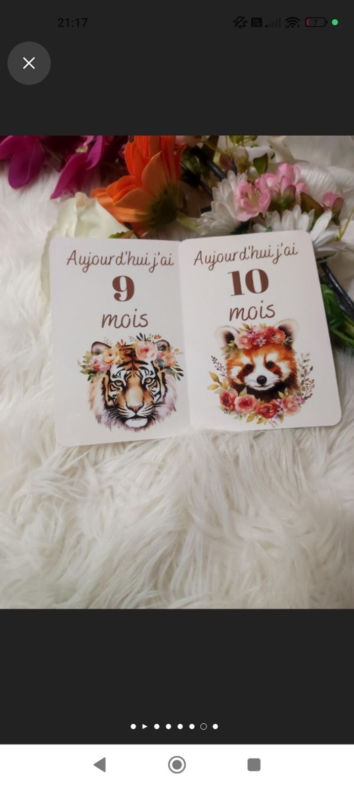 Carte étape bébé - photo numéro 6