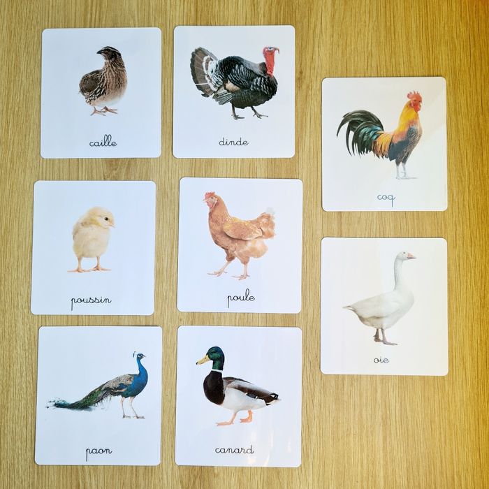 24 imagiers Animaux de la ferme / cartes de nomenclature - photo numéro 3