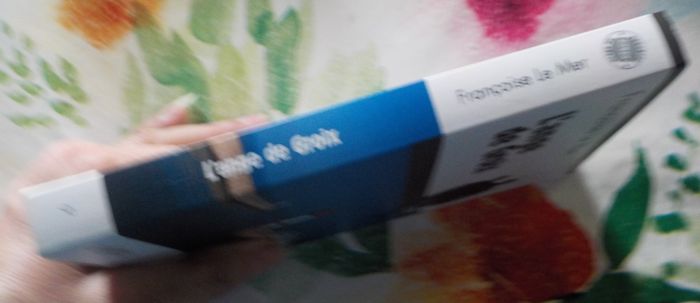 L'ANGE DE GROIX de Françoise LE MER Ed. Palémon - photo numéro 4