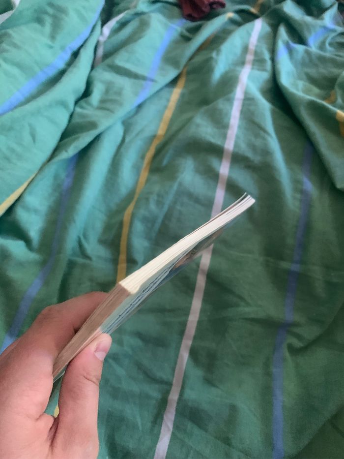 Les inséparables et la momie interdite - photo numéro 7